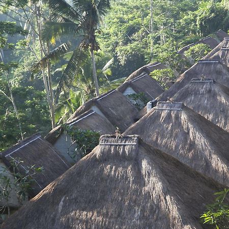 Tejaprana Resort & Spa Ubud  Ngoại thất bức ảnh The roofs of the hotel