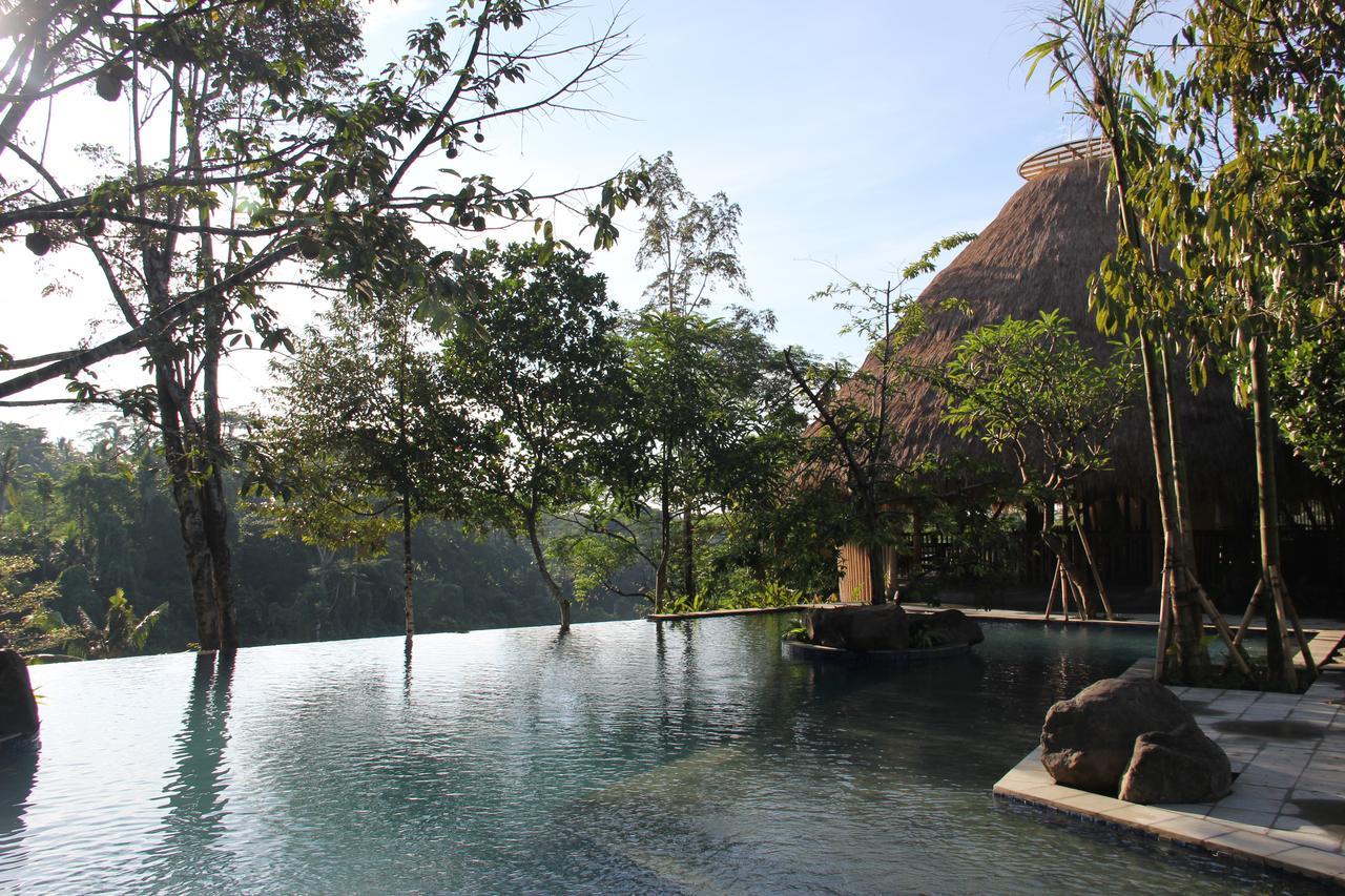 Tejaprana Resort & Spa Ubud  Ngoại thất bức ảnh The resort's swimming pool
