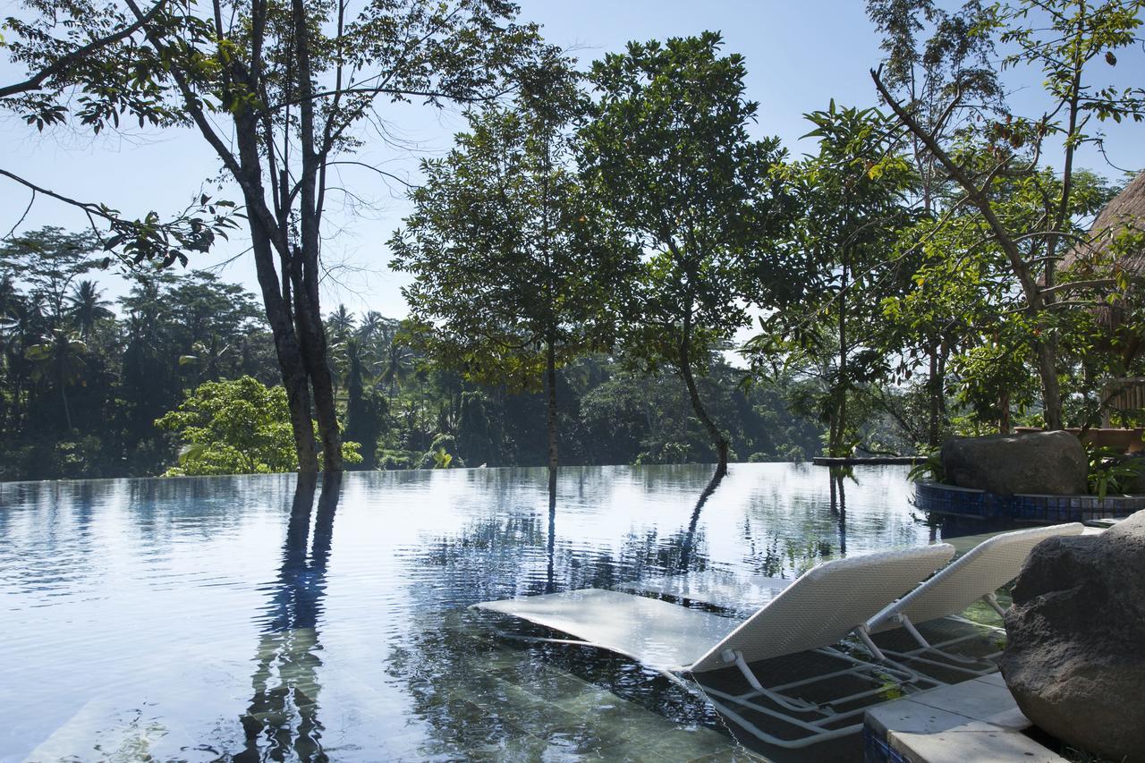 Tejaprana Resort & Spa Ubud  Ngoại thất bức ảnh The flooded park