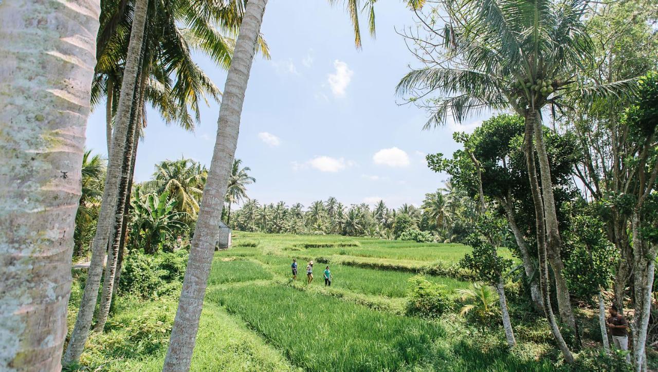Tejaprana Resort & Spa Ubud  Ngoại thất bức ảnh A paddy field in Sri Lanka